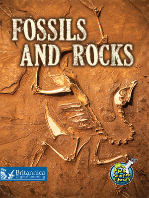 cover image of Fossils and Rocks